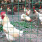 Grazing fence/plain farming network/Holland wire mesh
