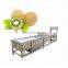 industrial carrot washing machine electric Vegetable washing machine stainless steel Bubble cleaner machine