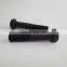 Screw Hexagon Head Cap S174 for Diesel Engine K50