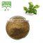 Ram Tulsi Extract, Экстракт базилика, Экстракт листьев Ocimum Sanctum