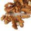 chocolate coated walnut importers of walnuts in dubai walnut red dates