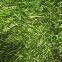 Wholesale high quality 70g Aerial photo camouflage net shade plastic Car Drop Hunting Cover For Military Photography Camp