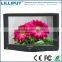 High Brightness Low Cost 7 Inch Hdmi Camera Monitor