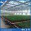 Cheap commercial greenhouse rolling Bench Systems for sale