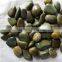 Super Class Pebble Stones; Polished Nature Pebble Stone