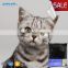 Colorful cat toilet sand mineral cat litter natural shaped
