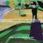 Natural Wool Material for Painting or Wall Hanging DIY Needle Felt Picture