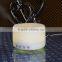 Aroma Diffuser Air Humidifier Negative Loniser Atomizer