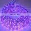 110v/220v-240v led rope light/christmas light/holiday light