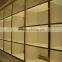 St.Petersburg low temperature panel microthermal display panel beauty display panel