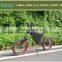 Black 26" High carbon steel Electric Bike 48V 350W