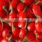 Organic Food, Goji Berries , Gojiberry for Cake or Juice,grade B