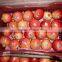 fresh Egyptain pomegranate
