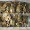 whole round good packing frozen crab for sale