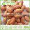 HACCP,ISO,BRC,HALAL Certification Salted Peanuts with best quality and hot price