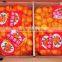Sell Nanfeng Mandarine/ Baby Mandarine 9KG