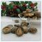 Dried Mini Smooth Shiitake Mushroom