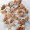 Frozen Processing Type Morels