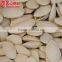 original taste pumpkin seeds in bulk