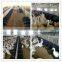 PP material squre duck nest for laying with low price