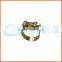 chuanghe high 19mm bandwidth hose clamp