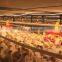 Hot prefabricated steel structure poultry shed
