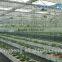 Glass Greenhouse for Agricultural (ISO9001:2000)
