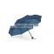 Promotional auto open straight clear umbrella