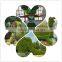 2016 New Design Artificial Green Sculpture for Garden Manufacturer