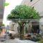 Artificial Banyan Tree 13ft evergreen indoor artificial ornamental plants for Hotel restaurant garden decoration