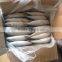 frozen pacific mackerel