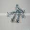 Galvanized Pan Head Self Drilling Screws From Guangzhou Supplier