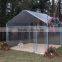 pet shelter, dog kennel , animal shelter