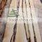 Kiln dried white birch timber
