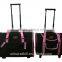 New design outside portable travel dog bag pet carrier/shoulder luggage dog crate Trolley