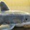 Custom plush marine animal plush shark toy realistic shark toy