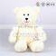 Soft Bear Doll for Kids