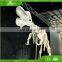 Life-size Mamenchisaurus skeleton model in dinosaur skeleton factory