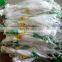 Thailand plastic mesh 20*20 plant support net for long beans