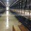 Milking parlor machine Herrigbone type Milking parlor
