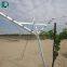 Table Grape Trellis Systems Open Gable Trellis