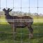 Galvanized Steel Fixed Knot Deer Fence/Cattle Fence/Field Fence