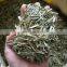 Good price dried Lemongrass from Vietnam