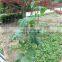 Rede de escalada de plástico para legumes. Rede de suporte para plantas de legumes para o jardim