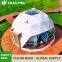 Outdoor Waterproof Dome House Glamping Luxury Tent for Family Camping
