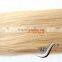 Blonde 100 human hair wave factory price and fashion style in alilibaba                        
                                                                                Supplier's Choice