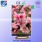 Shenzhen 3.5 inch tft mini lcd monitor manufacturer