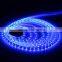 Factory price adressable SMD 5050 rgbw led strip with 40 key controller led par light
