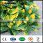 artificial grass plants decorative wall hanging