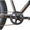 2016 26 inch bmx bike/ aluminium wheels big tire fat bike/fat tire bicycle 20"*4.0(PW-FT26501)